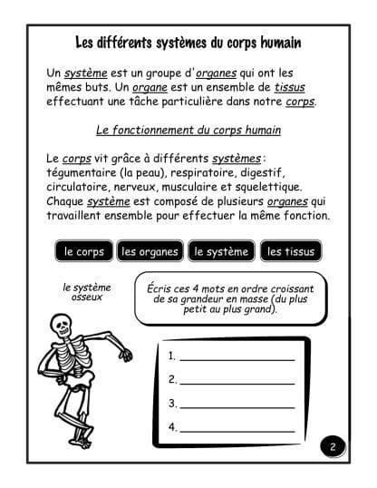 Le corps - (5e/6e) - Les systèmes du corps