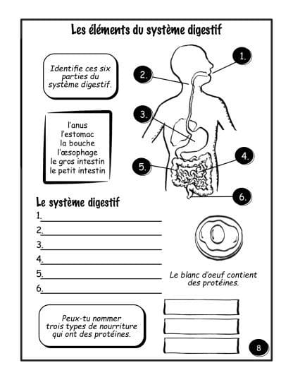 Le corps - (5e/6e) - Le système digestif