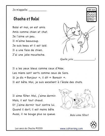 Chacha et ses amis (2e/3e) - Chacha et Balai