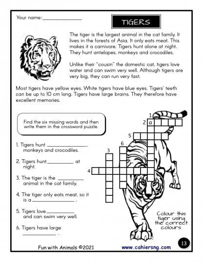 Fun with Animals - PDF - (Grades 2/3) – Image 3