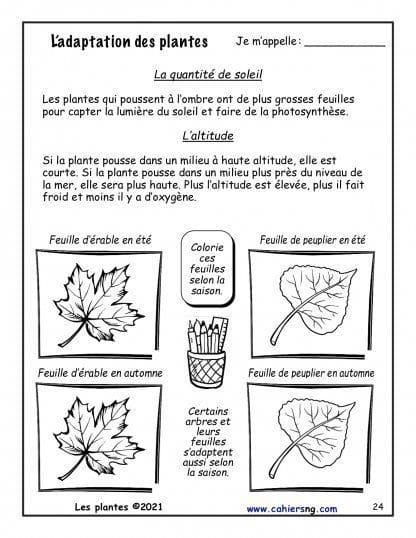 Les plantes (3e) - Nouvelle série ! - NOUVEAUTÉ !! – Image 4