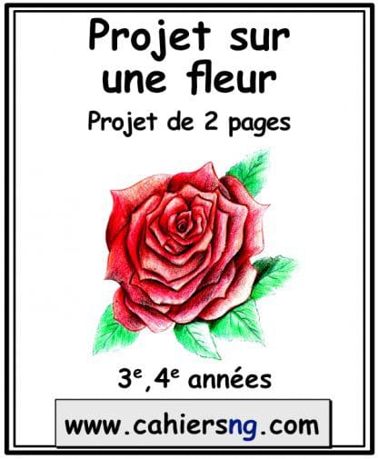 Projet sur une fleur -  (3e/4e)