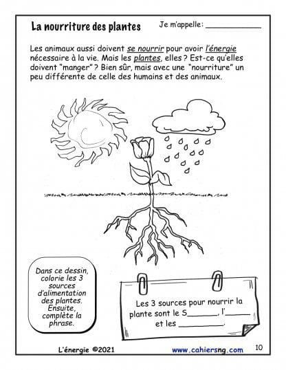 L’énergie – Nouvelle série (1re/2e) - Les plantes se nourrissent