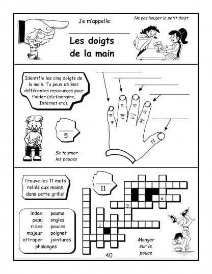 Les doigts de la main