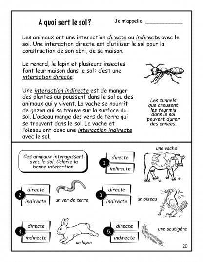 Le sol (3e) - Nouvelle série ! – Image 3