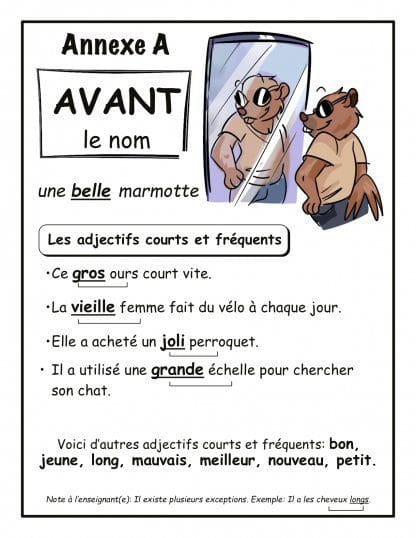 C'est quoi un adjectif ? (5e/6e) - Les adjectifs avant le nom