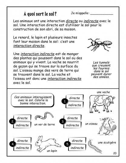 Le sol - Nouvelle série (3e/4e) - À quoi ça sert ?