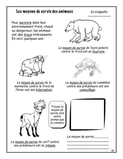 Les animaux (2e) - Nouvelle série ! – Image 4