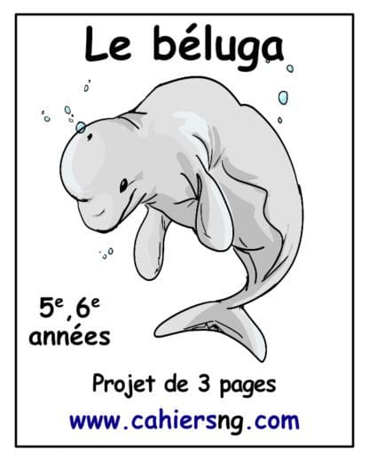 Le béluga (5e/6e) - PDF