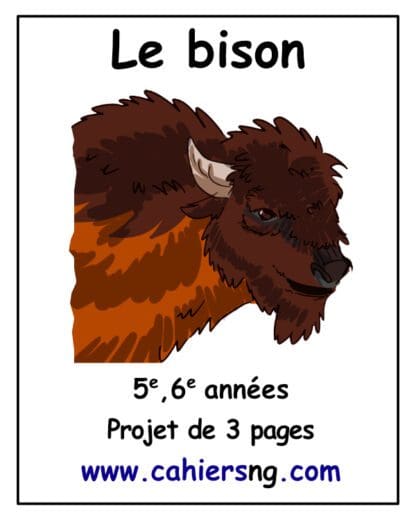 Le bison d'Amérique (5e/6e) - PDF