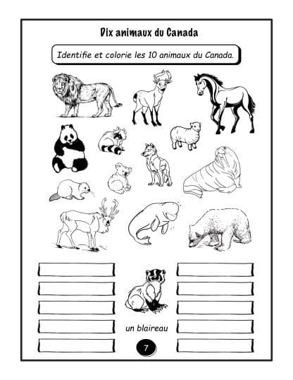 PDF - Les animaux du Canada (4e/5e) - HYBRIDE – Image 2