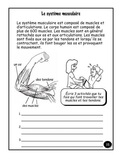 Le corps - (5e/6e) - Les muscles