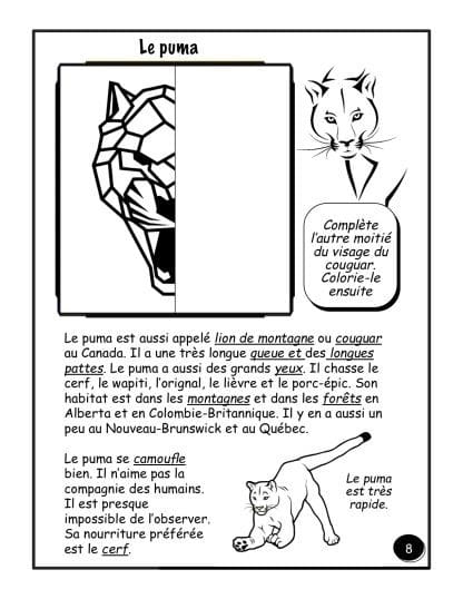 PDF - Les animaux du Canada (4e/5e) - HYBRIDE – Image 3