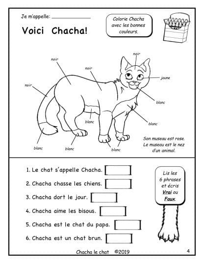 Chacha le chat (1re/2e) - Ses couleurs