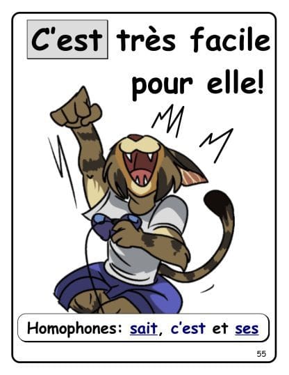 Les homophones - Affiches - (5e) – Image 3