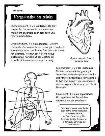 La cellule - Volume #2 (8e) - Les organes