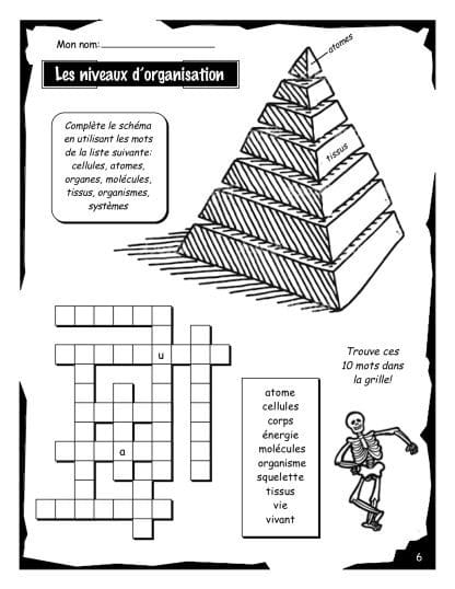 La cellule - Volume #2 (8e) - L'organisation