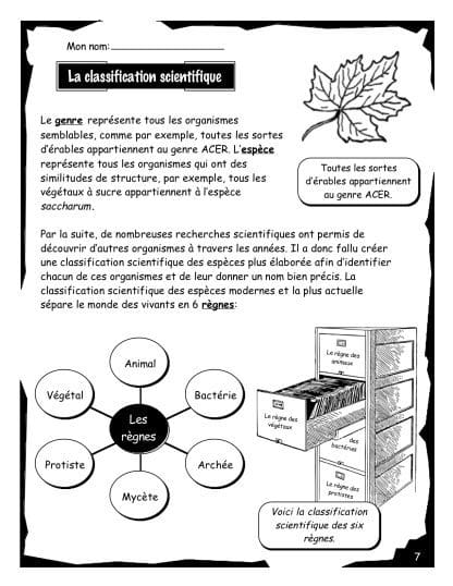 La cellule - Volume #1 (8e) - Classification