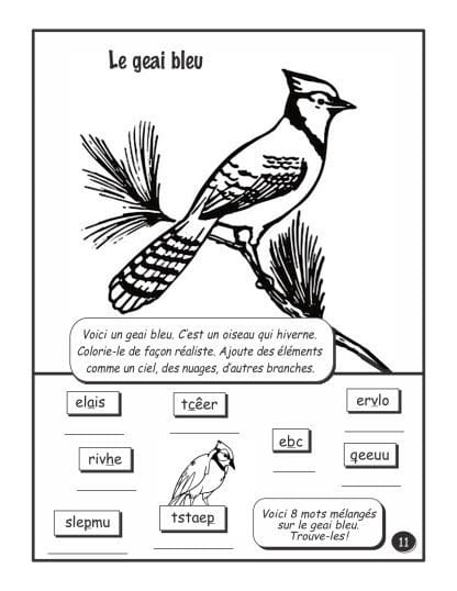 PDF - C'est l'hiver!  - 4e année - "HYBRIDE" – Image 3