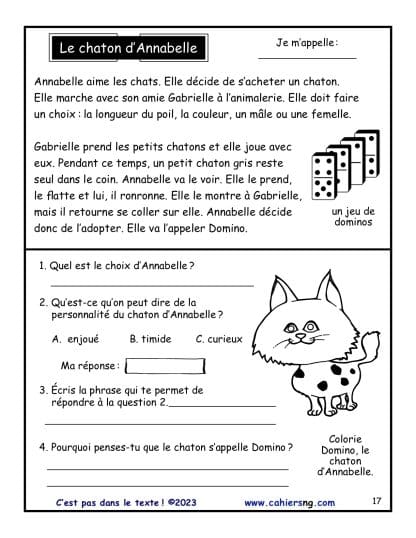 C'est pas dans le texte (3e/4e - Inférences) - Le chaton