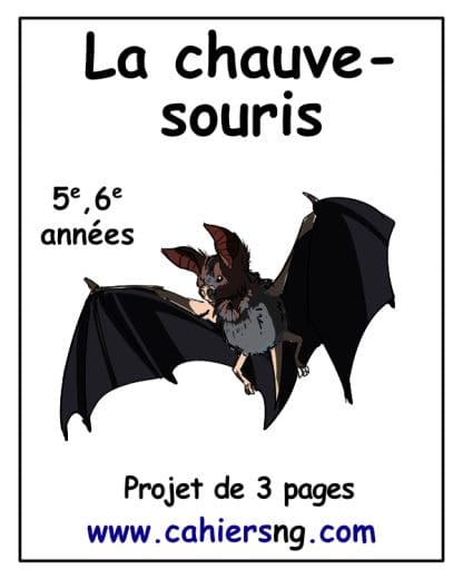 La chauve-souris (5e/6e) - PDF