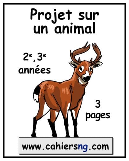 Projet sur un animal (2e/3e)    3 pages - GRATUIT !